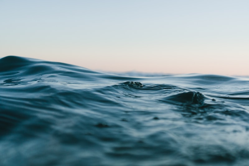 Calm lake shore — safe place to fish